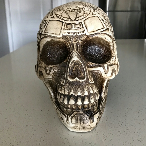 Cast skull - Picture 8 of 8